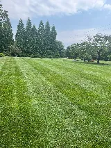 JCS Landscaping Services LLC photo 5