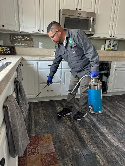 Complete Pest Control photo 1
