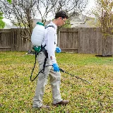 Greener Texas Pest and Lawn Services photo 6