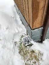 BugsBeGone Pest Services photo 4