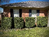 Broke Boy Lawn Care photo 8