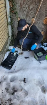 Gam Exterminating Buffalo NY Inc photo 3