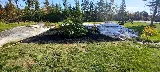 Code Green Landscaping & Property Services photo 4