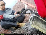 Tailor Made Pest and Wildlife