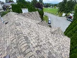 Roofing Horse photo 5