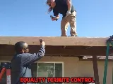 Equality Termite Control photo 7