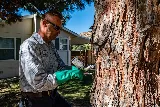 Care Pest Solutions photo 5