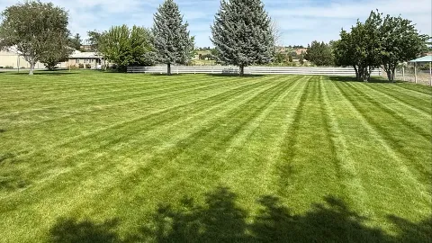 Abel’s and Sons Lawn Services llc in Yakima
