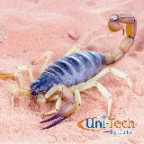 Uni-Tech Pest Control photo 3