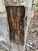 McCall Pest & Wildlife - Jacksonville photo 8