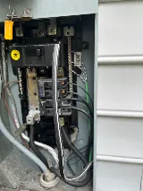 Monkey Junction Electric photo 7