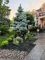 M Landscaping Ltd. photo 4