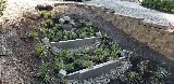 Beavers Landscape and Maintenance LLC. photo 5