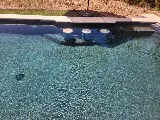 Blackard Pool Construction photo 4