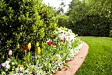 Southern Botanical Landscaping photo 2