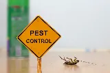 Pro Pest Control Exterminators