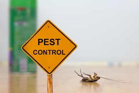 Pro Pest Control Exterminators photo 1