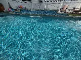 Dreamscape Pools