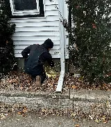 Rainbow Pest Experts photo 6