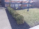 RICO ENTERPRISE (Serving Erie & Niagara county) photo 6