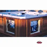 Arctic Spas Hot Tubs & Swim Spas St George photo 8