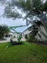 Albert & Ellis Landscaping & Tree Service photo 3