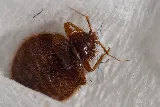 Prairie Pest Control Inc photo 4