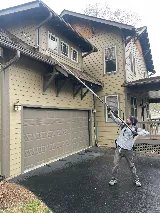 Summit Pest Solutions photo 8