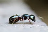 REAL Pest Control photo 2