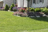 Premier Landscaping photo 7