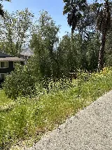 Cal Pacific Landscape | Landscaping Moreno Valley CA photo 5