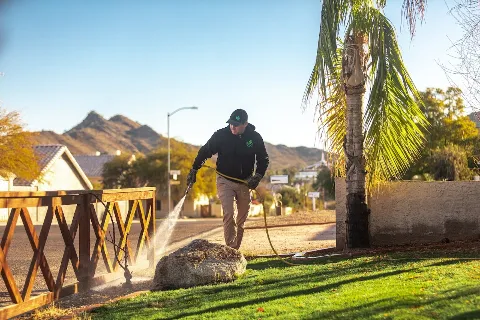 Greenleaf Pest Control in Surprise