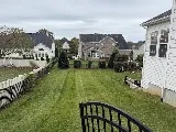 Colin Cutz and Landscaping photo 7