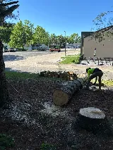 Braun's All-Year Landscaping LLC photo 5