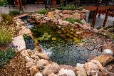 Timberline Landscaping photo 7