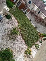 Jimenez Landscaping Service photo 6