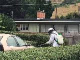Guardian Pest Control photo 5