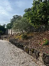 Moises L Landscape LLC photo 3