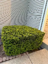 Larry & Sons Landscaping photo 3