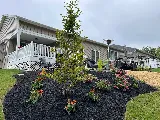 JOSH Landscape Co photo 8