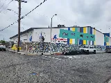 Go Painting photo 3