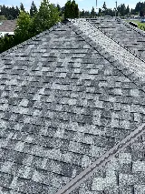 Spartan Roofing Ltd