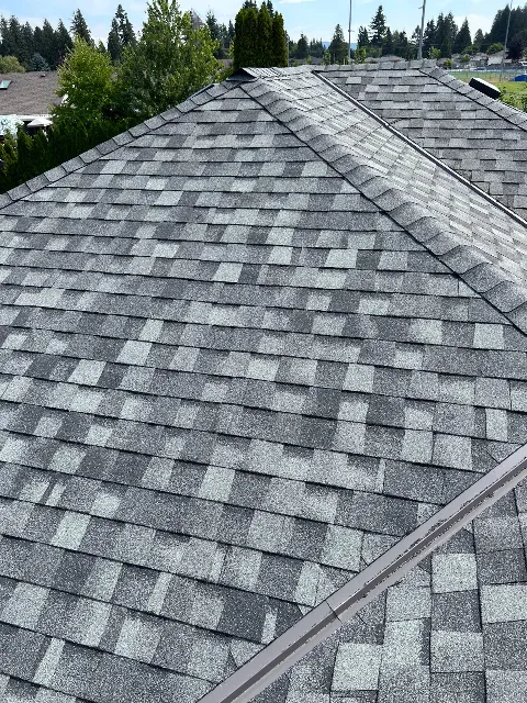 Spartan Roofing Ltd in Maple Ridge