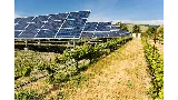 Global Solar Supply