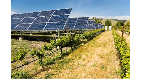 Global Solar Supply photo 1