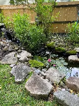 Dodson Pest Control photo 3