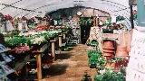 Green Fields Nursery & Landscaping Company photo 4