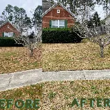 Sparta Lawn Care photo 8