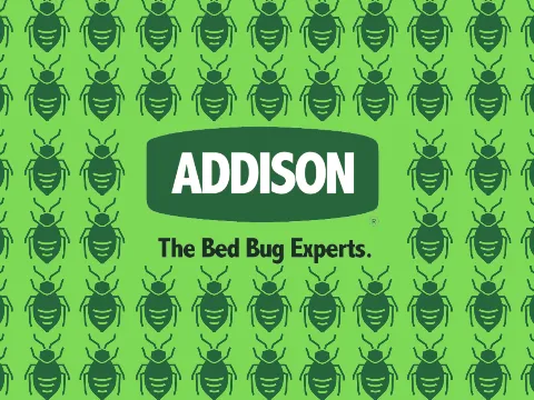 Addison Pest Control photo 1