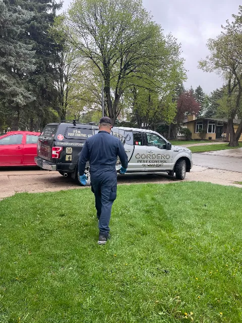 Cordero pest control photo 1